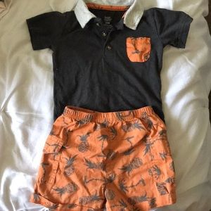 Tropical pineapple polo/shorts set.